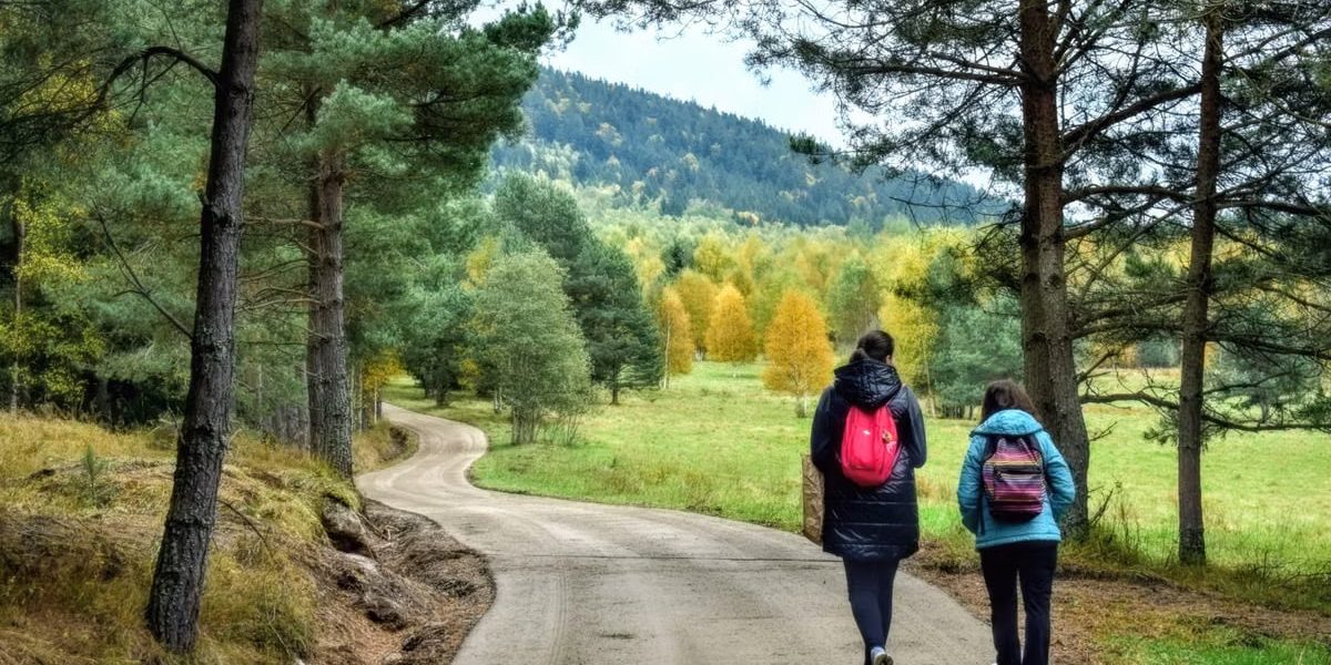 Two people walking along a picturesque forest path in autumn, surrounded by colorful trees.