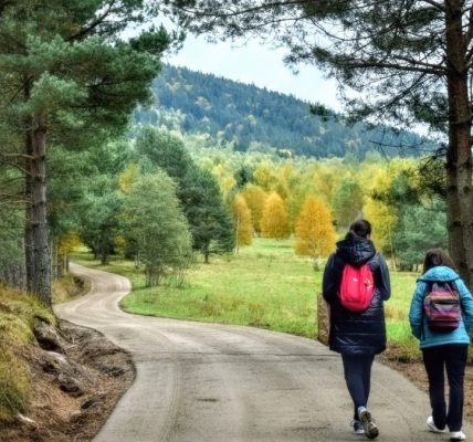 Two people walking along a picturesque forest path in autumn, surrounded by colorful trees.