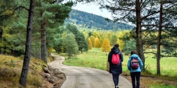 Two people walking along a picturesque forest path in autumn, surrounded by colorful trees.